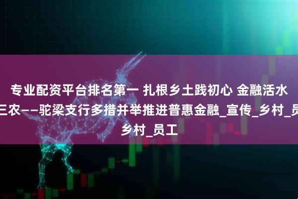 专业配资平台排名第一 扎根乡土践初心 金融活水润三农——驼梁支行多措并举推进普惠金融_宣传_乡村_员工